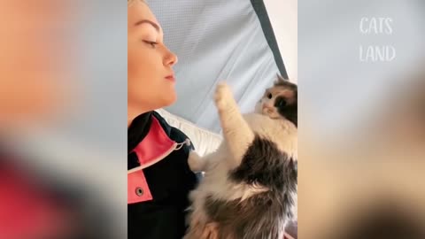 The cat says he doesn't want to kiss