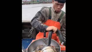 best Chinese eating seafood