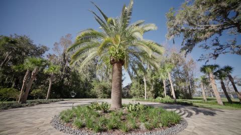 Northeast Florida Garden Design & Landscaping by Serenoa Landscape Design in St Johns County.
