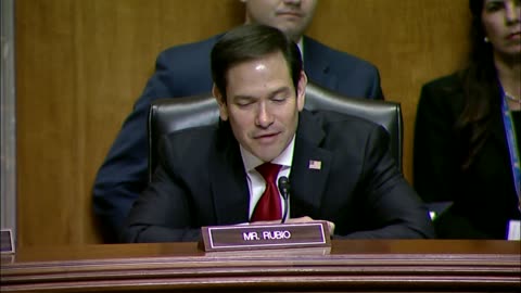 Senator Rubio Questions Witnesses at a Senate Foreign Subcommittee Hearing