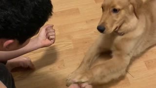 Eager puppy gets fooled by owner's magic trick