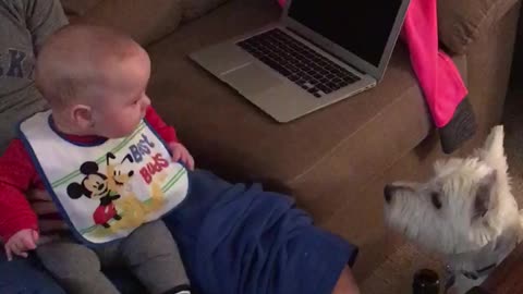 Baby boy thinks his dog is absolutely hilarious!