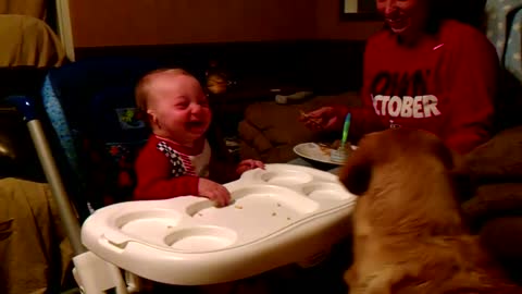 Baby Cannot Stop Laughing At Pet Dog