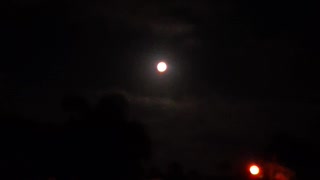 Full Moon - Luna Llena 2