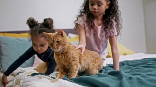 Kids VS Cat Funny video