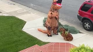 Clever Person Dresses In T-Rex Costume To Walk Their Dog Safely