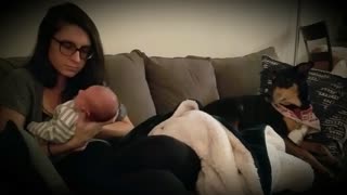 Doggo Joins in with Crying Baby