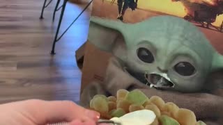 Hungry dog gets tasty treat with help from Baby Yoda