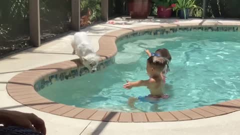 Excited Westie Outsmarts Kids to Get In Pool