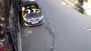 Funny Police Car Doodle Chase Drunk Car _ Woa Doodle