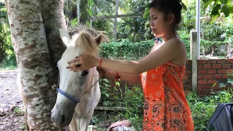 How To Care Your Horse , My Sister Learn How To Give Food To Her Horse #01