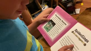 Teaching our children to read