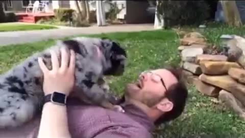 Butterfly Puppy Kisses