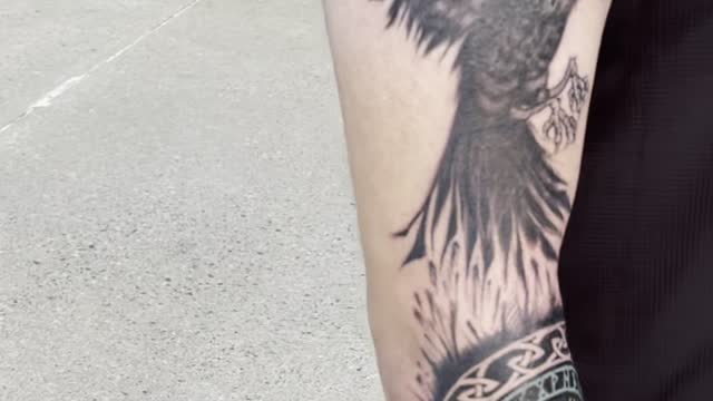 eagle baaz forearm tattoo inkedup trending likeandcomment fory   TikTok
