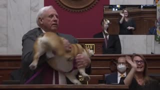 HILARIOUS Moment Gov Jim Justice's Dog "Tells Bette Midler And All Those Out There: Kiss Her Hiney"