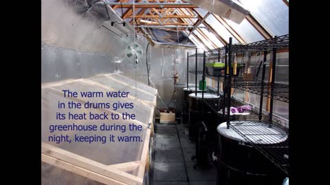 Solar Water Heat for Greenhouse