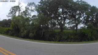 (00044) Part Two (D) - Rural Sarasota County, Florida. Sightseeing America!