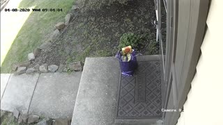Porch Pirate Caught Red Handed