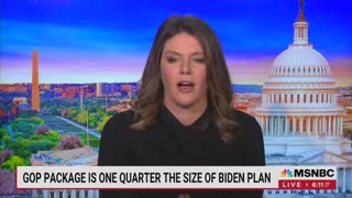 MSNBC Guest About Tax Increases And Capitalism