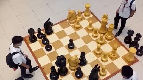 giant chess game