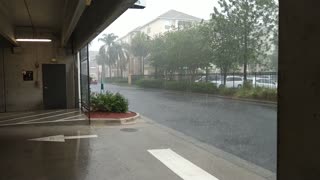 Orlando Rain