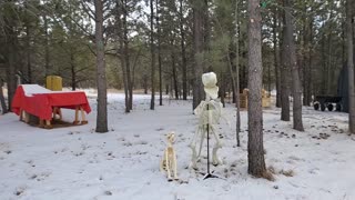 Our skeleton friends
