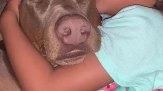 Little girl cuddles and sings to her doggy
