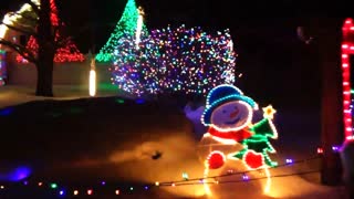 Holiday Christmas lights