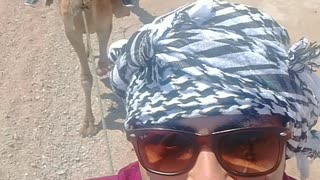 Dahab Camel Riding Adventure