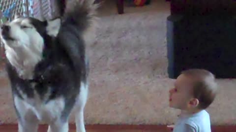 Husky And A Baby Take Turns Imitating Each Other’s Noises