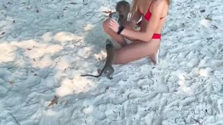 Girl Makes Friends with Monkeys