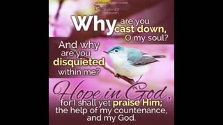 Dedicated2Jesus Daily Devotional Psalm 42 'Secure Hope' Audio