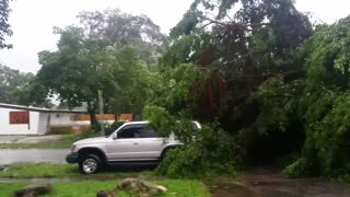 Hurricane Irma nearly crushes my truck