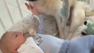 Newly born baby playing with an dog