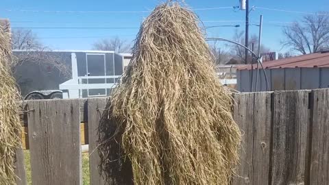 Finished Ghillie Capes