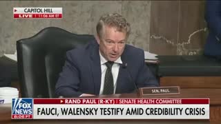 Rand Paul tears into Dr. Fauci like never before during TENSE hearing