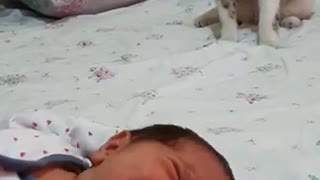 Cat meets newborn baby for the first time. "HIS REACTION "😅
