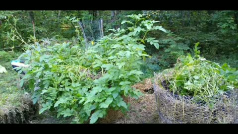 Myrtle's Garden - Sept. 8, 2023 - 90-second slideshow