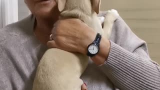 Puppy loves grand mother