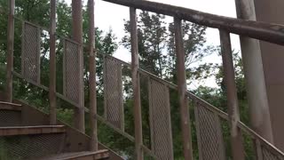 Walking on Metal Stairs Footstep Sounds Climbing Water Tower State Park Over the Trees Scenic ASMR
