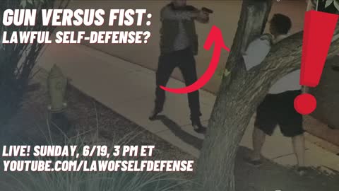 Gun versus Fist: Lawful Self-Defense?