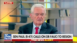 Newt Gingrich on Dr. Anthony Fauci