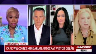 MSNBC Host, Panel Obsess Over Orban 2