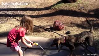 Babies playing with dogs LOVES
