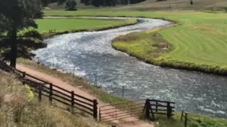 Amazing footage of a Mountain stream in Conifer,Colorado!