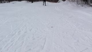 Great Canadian Rural Pastime Skate Skiing