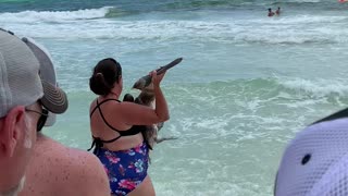 Bird Freed From Fishing Line by Beach Goers