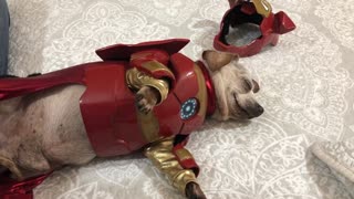 Iron Dog to the Rescue