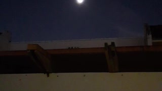 Full Moon - Luna Llena