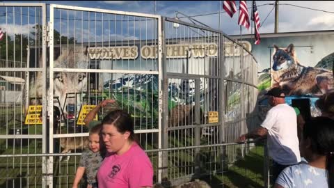 Hernando County Fair